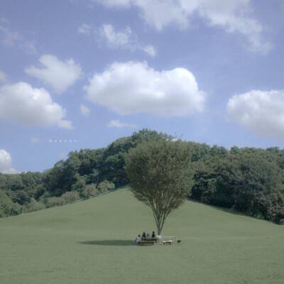 星空体育平台官网手机app下载